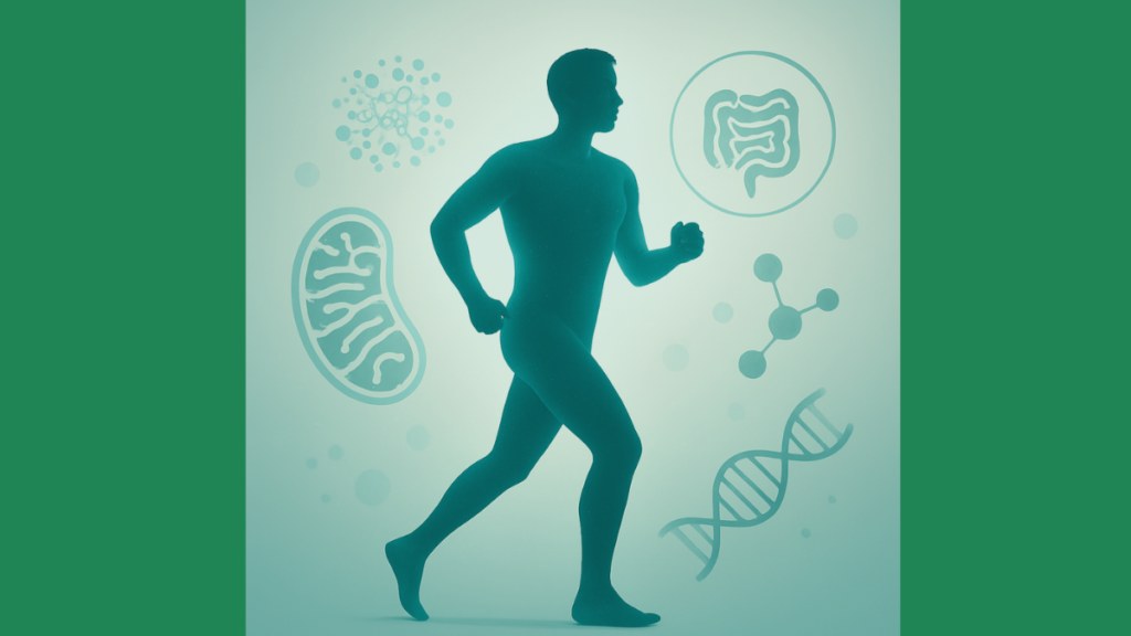 7 Science-Backed Ways to Improve Cellular Health for Better Energy, Recovery, and Longevity