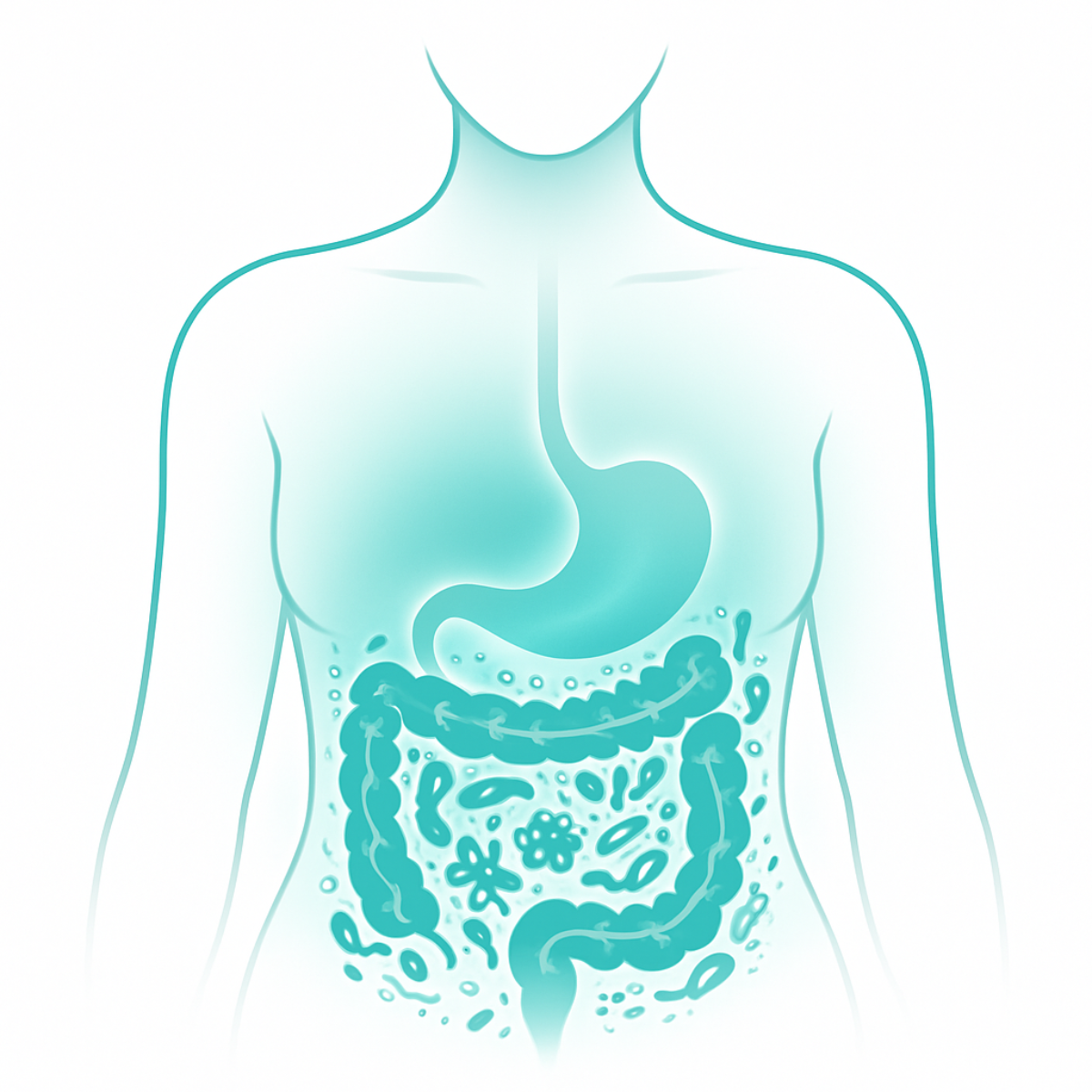 Gut Health and Microbiome wellness illustration representing digestive health, balanced nutrition, healthy microbiota, and overall well-being.