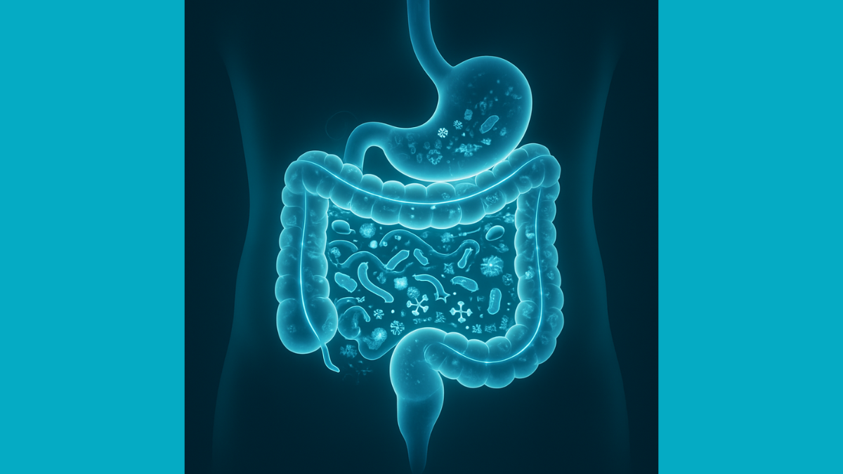 Gut microbiome and digestive wellness illustration representing healthy digestion and overall well-being.